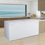 Double Door Chest Freezer
