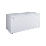 Double Door Freezer